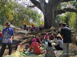 Tradisi Nyadran di Kalurahan Watusigar